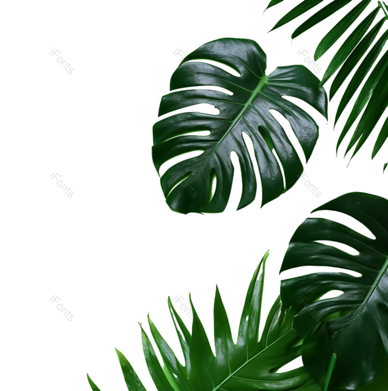 叶子图片,自然元素,绿色背景PNG,植物免抠素材